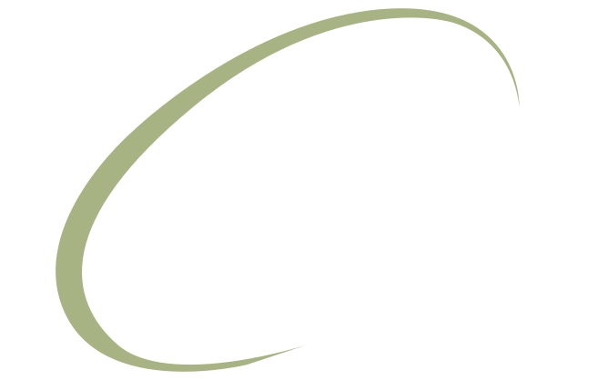 CSF International (CSFi)